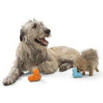 441987 West Paw Dog Toy with Zogoflex 