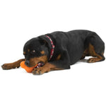 441987 West Paw Dog Toy with Zogoflex 